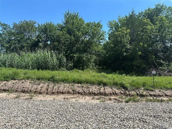 a view of a park with a tree in the background