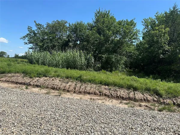 a view of a park with a trees