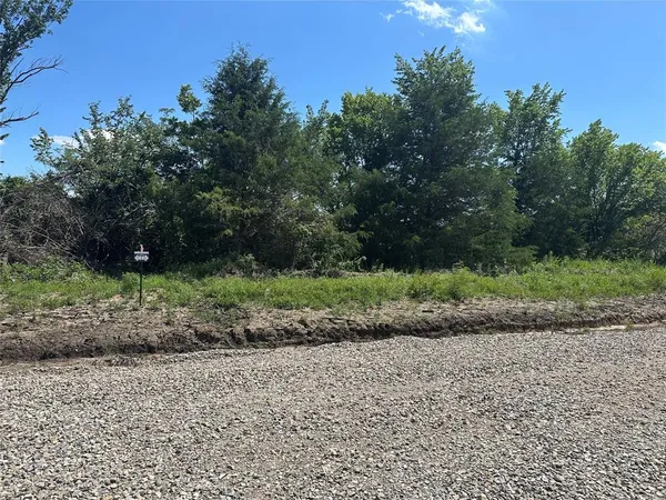 a view of a garden with large trees