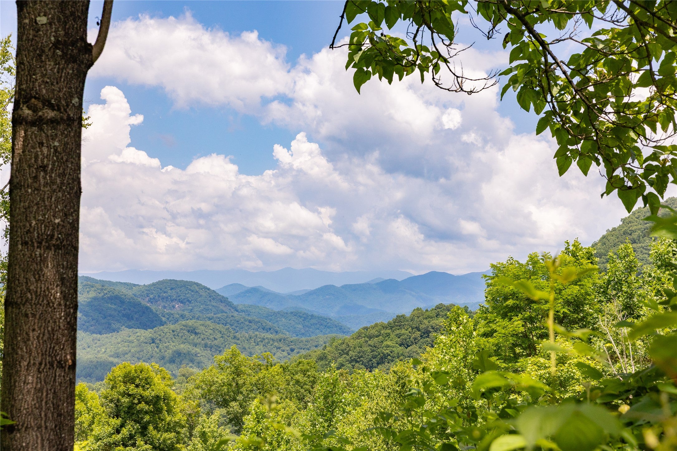 2652 Pilot Knob Road Tuckasegee, NC 28783 - Photo 4 of 33 Gallery Image 4