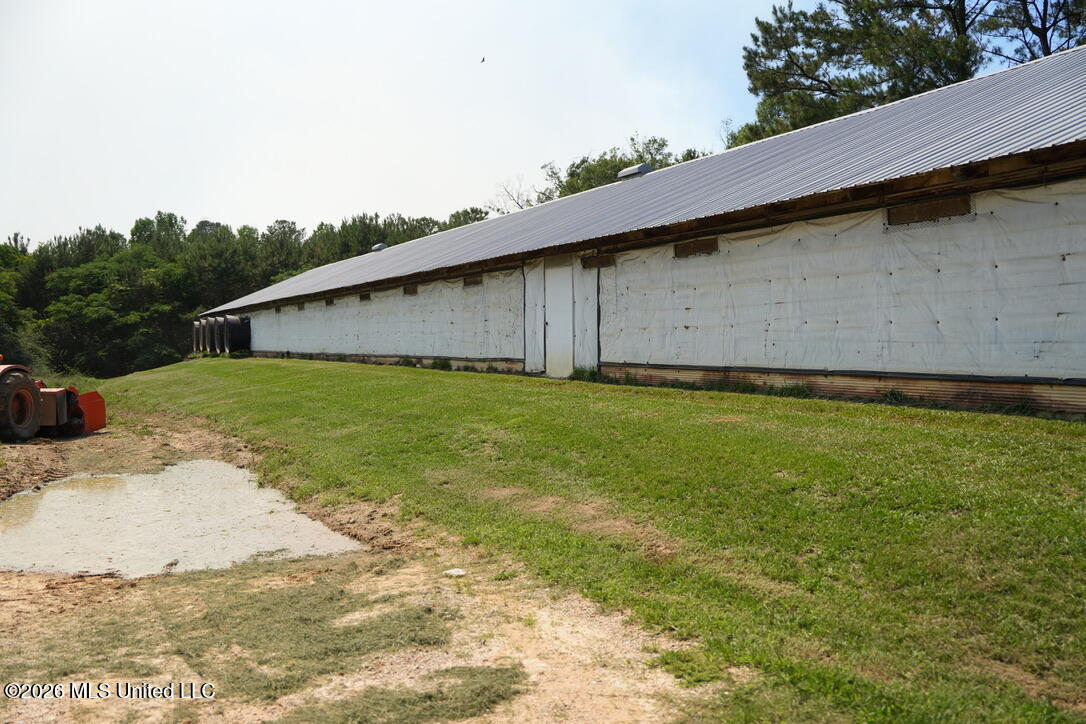 Smithtown Chicora Road State Line, MS 39362 - Photo 19 of 38 D87E15F8-ED7B-4327-B4A4-DB4253BA00CB_1_1