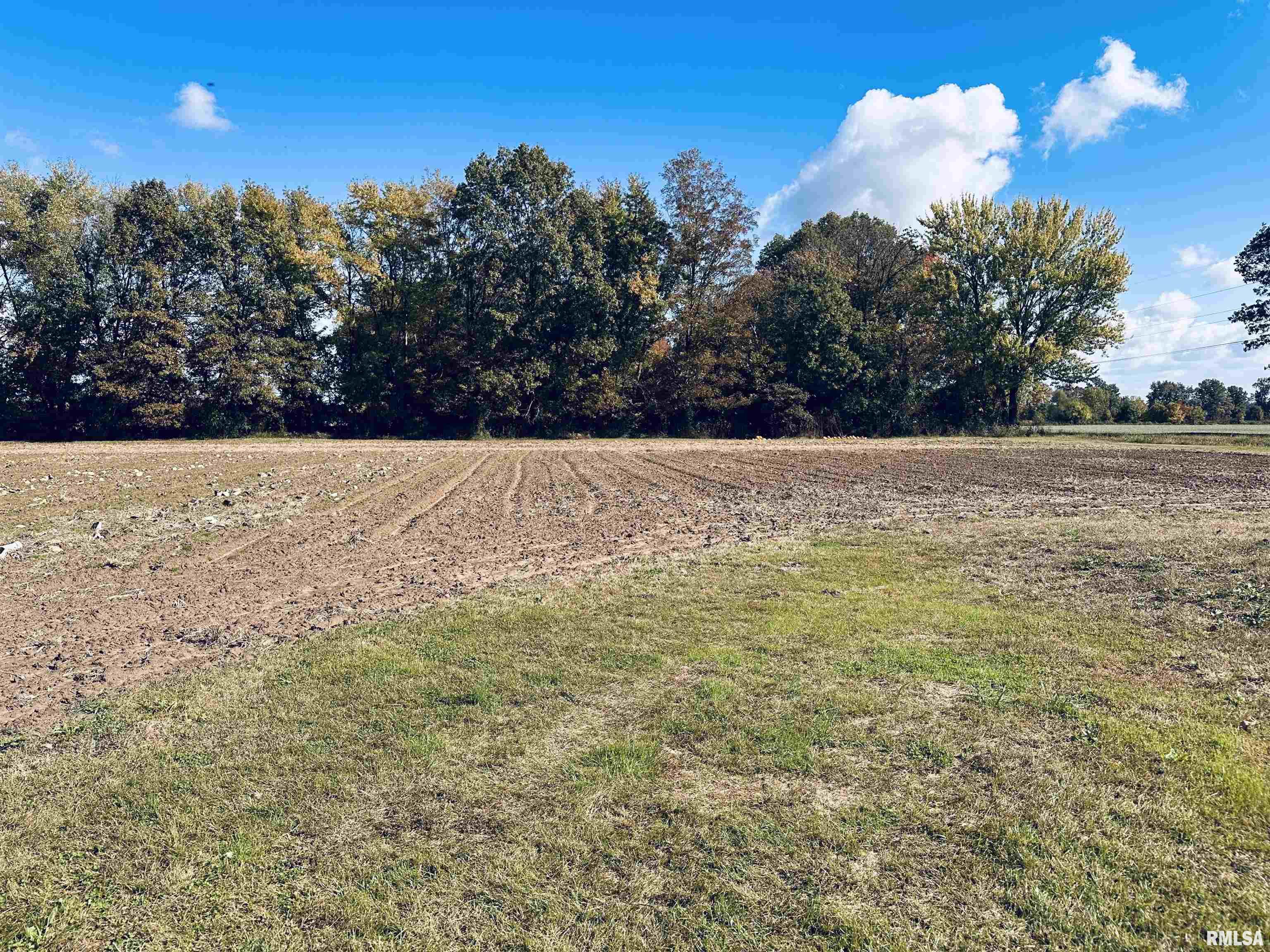 18564 Old Diswood Road Tamms, IL 62988 - Photo 6 of 7