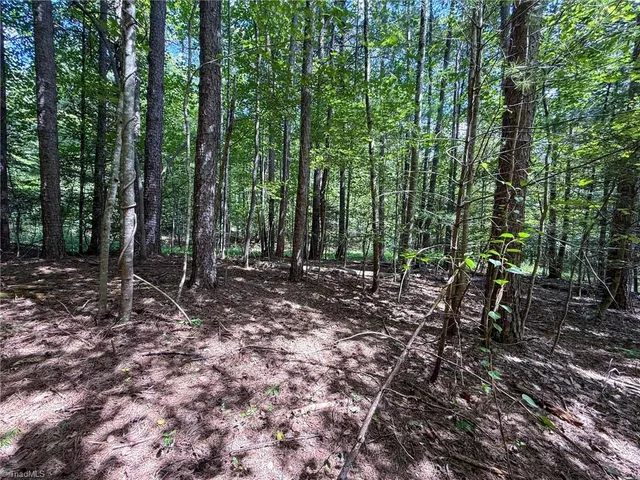 $25,000 | 0 Antler Drive, McGrady, NC 28649