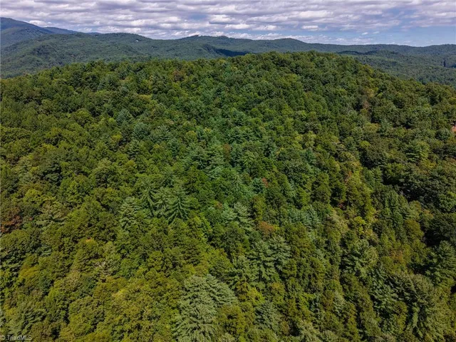 $25,000 | 0 Antler Drive, McGrady, NC 28649