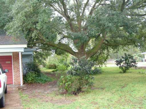 180 Highland Road Ponchatoula, LA 70454 - Photo 5 of 5 Gallery Image 5