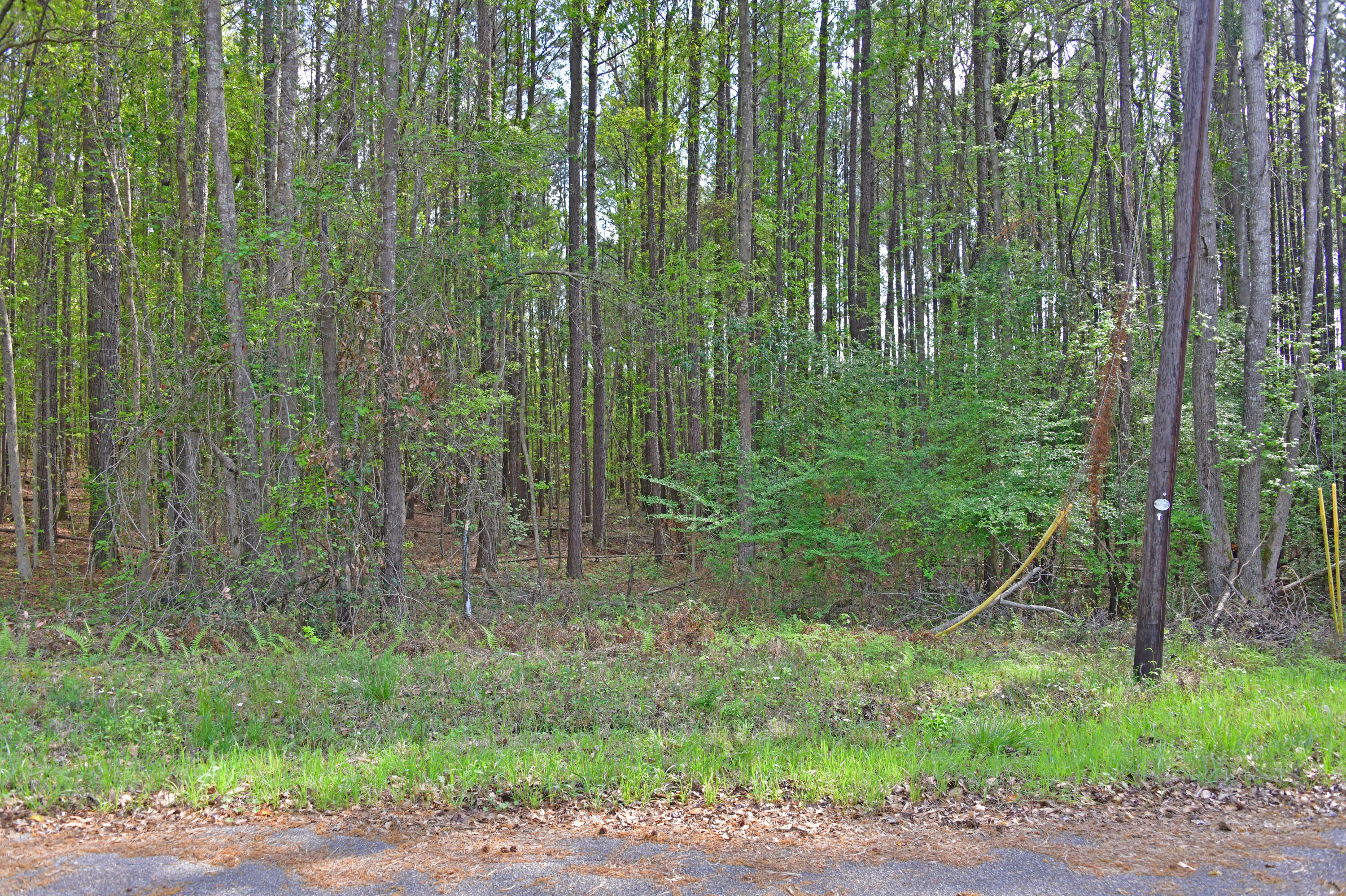 Ridgelake Cir lot 29.1