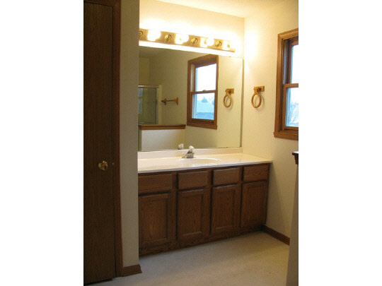5376 Rockingham Drive Loves Park, IL 61111 - Photo 8 of 11 a bathroom with a sink and a mirror
