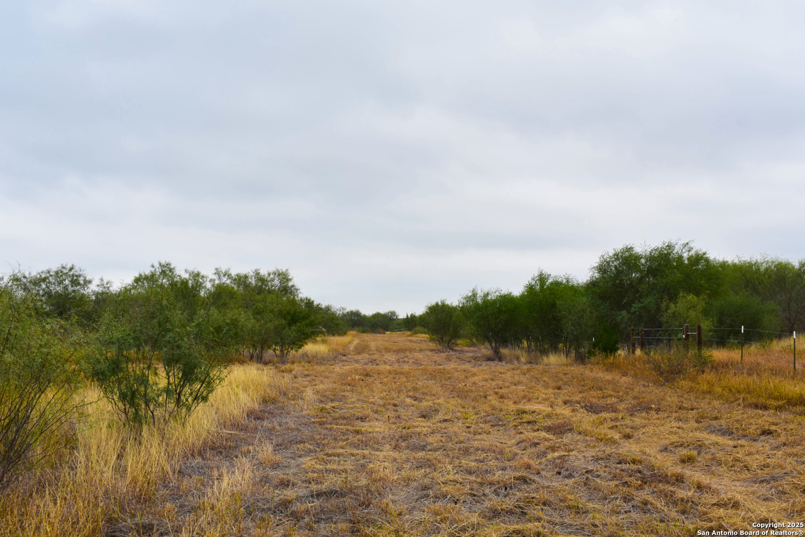 0 Jefferies Road Laredo, TX 78045 - Photo 11 of 17 a view of lake