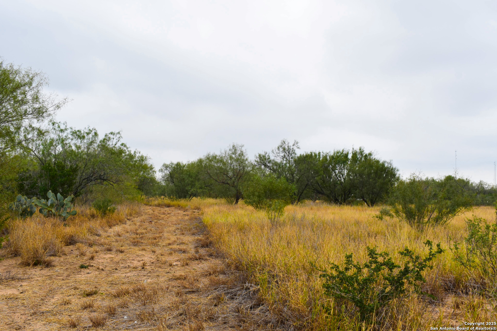 0 Jefferies Road Laredo, TX 78045 - Photo 12 of 17 a view of lake