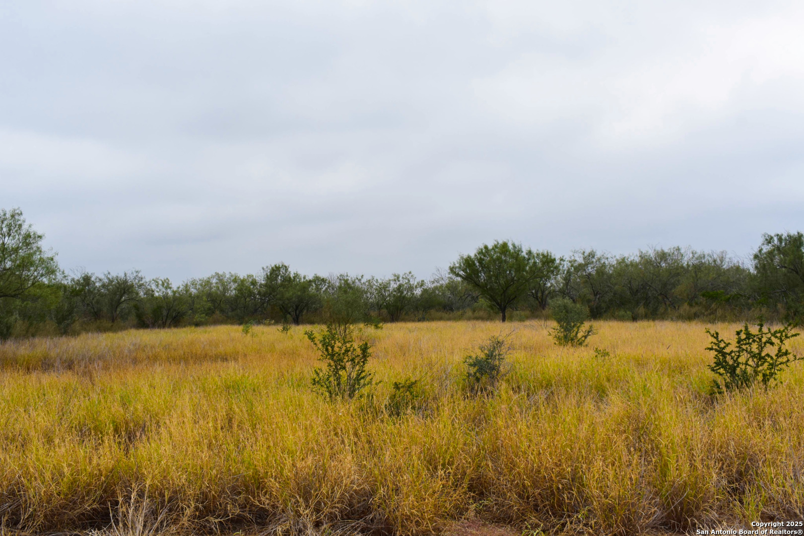 0 Jefferies Road Laredo, TX 78045 - Photo 3 of 17 a view of lake and mountain