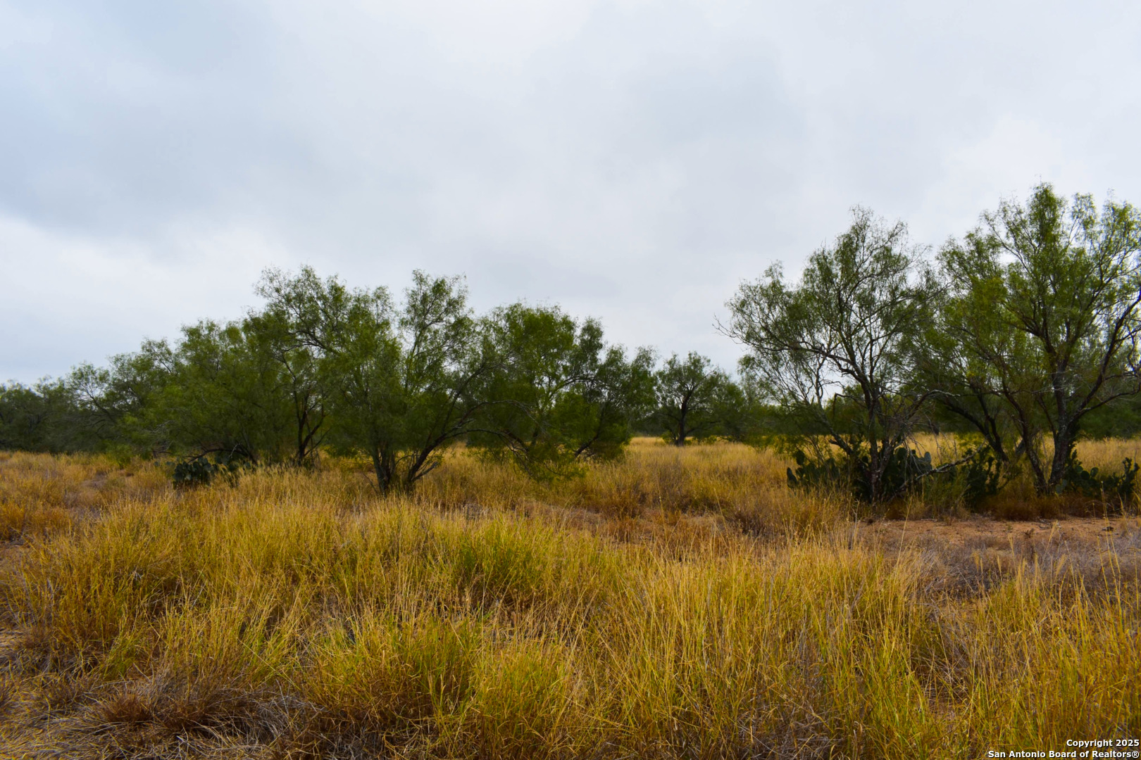 0 Jefferies Road Laredo, TX 78045 - Photo 4 of 17 a view of lake