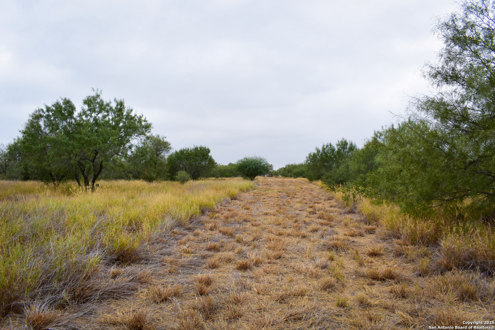 0 Jefferies Road Laredo, TX 78045 - Photo 5 of 17 a view of a lake from a yard