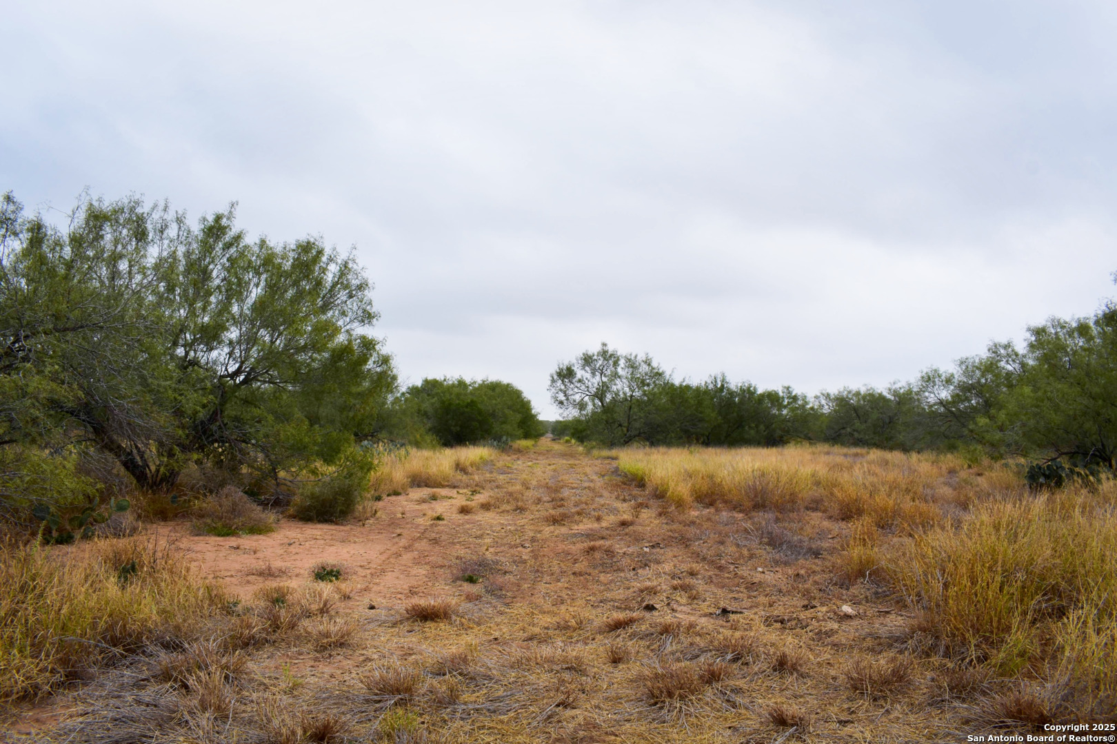 0 Jefferies Road Laredo, TX 78045 - Photo 6 of 17 a view of lake and mountain