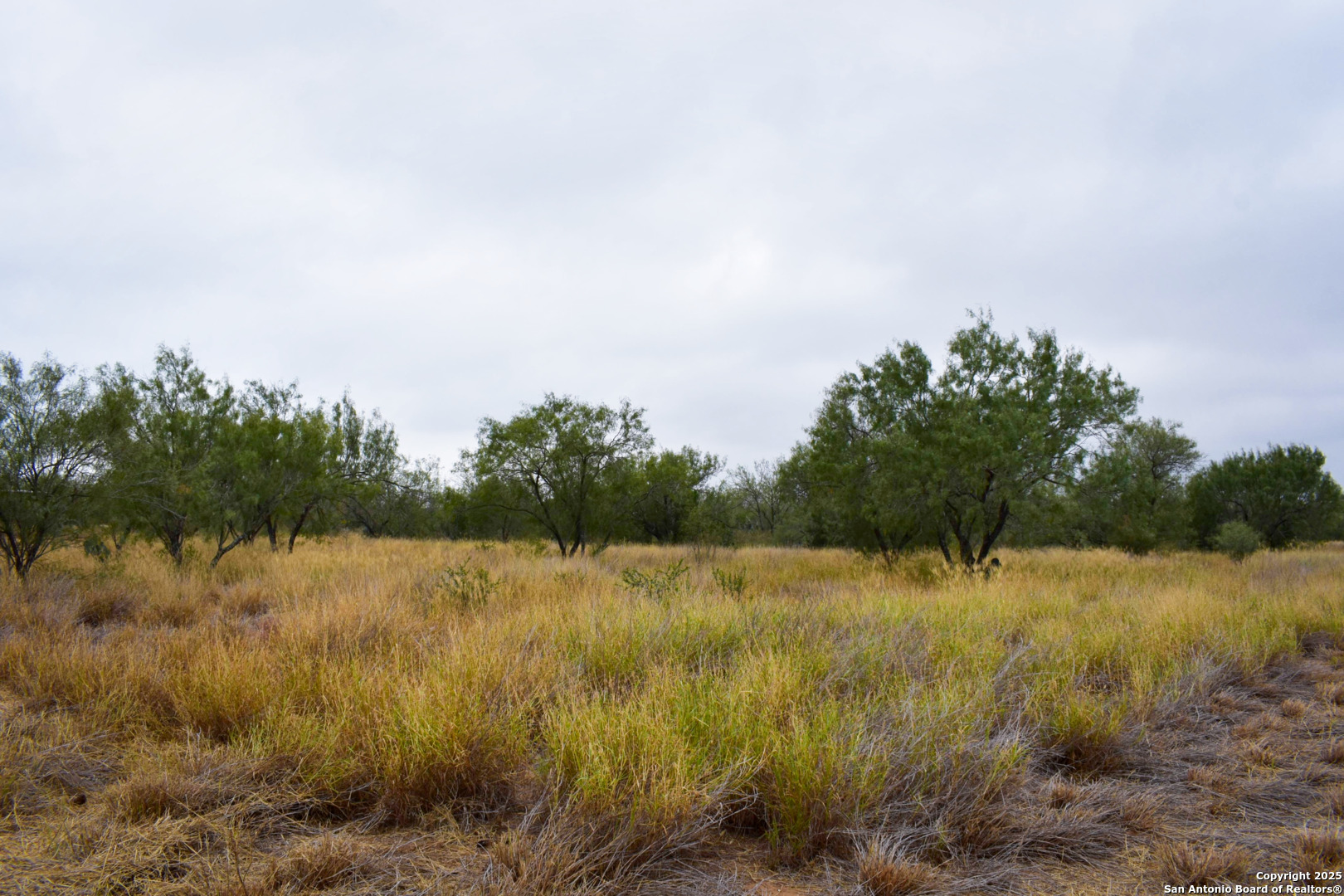 0 Jefferies Road Laredo, TX 78045 - Photo 7 of 17 a view of a lake with a yard