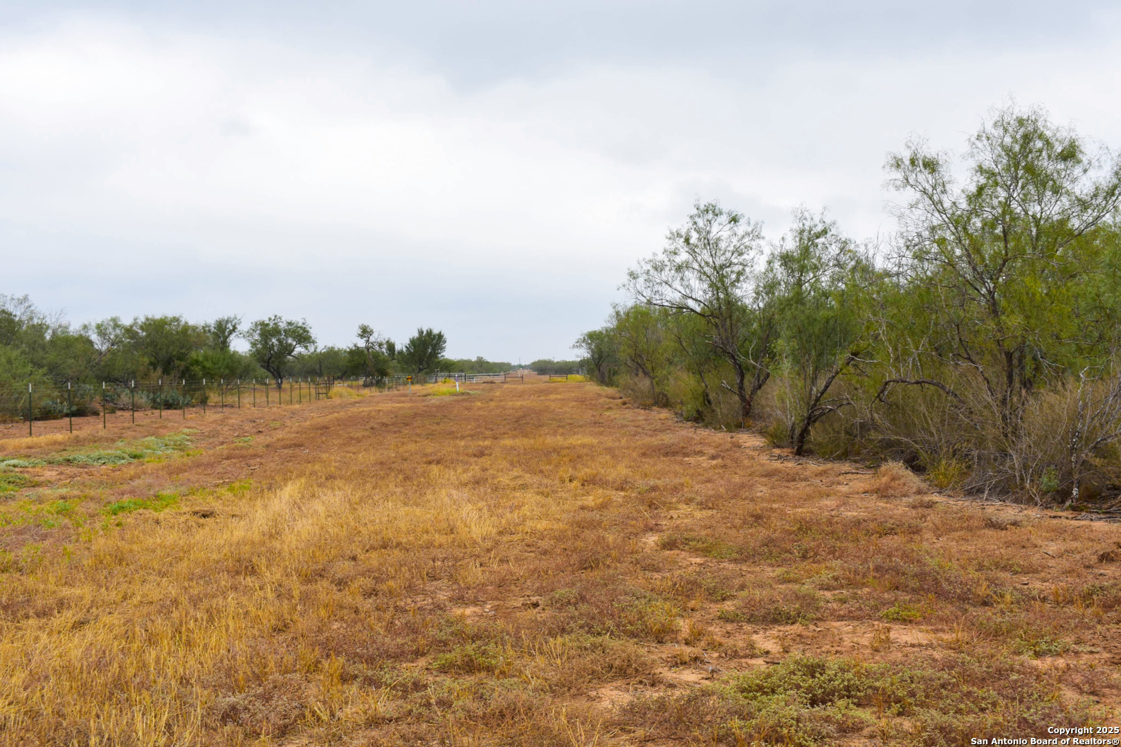 0 Jefferies Road Laredo, TX 78045 - Photo 9 of 17 a view of a field with trees in the background