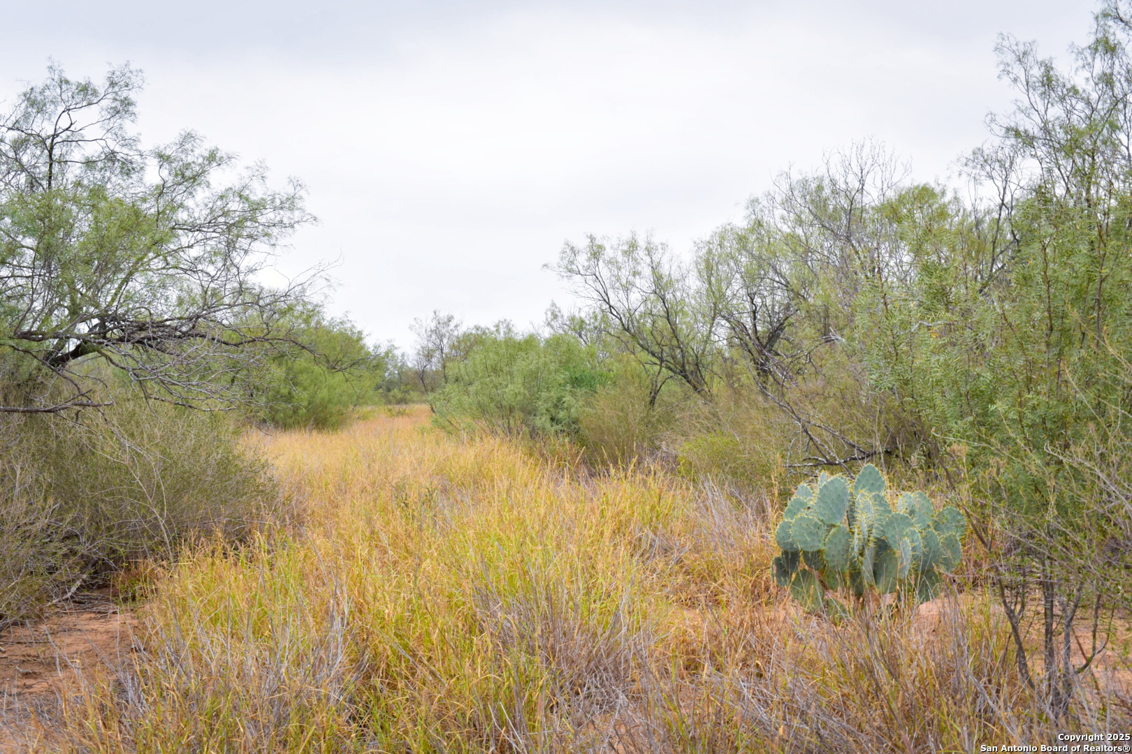 0 Jefferies Road Laredo, TX 78045 - Photo 10 of 17 a view of lake with green space