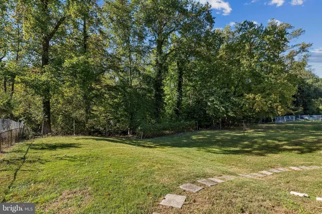 a view of outdoor space with trees all around