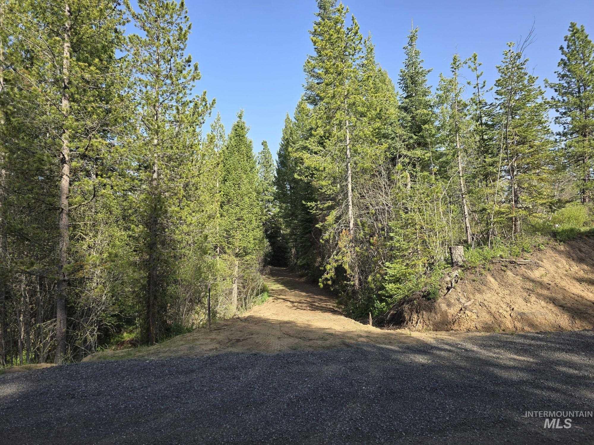 23 Sawtooth Loop Cascade, ID 83611 - Photo 3 of 45