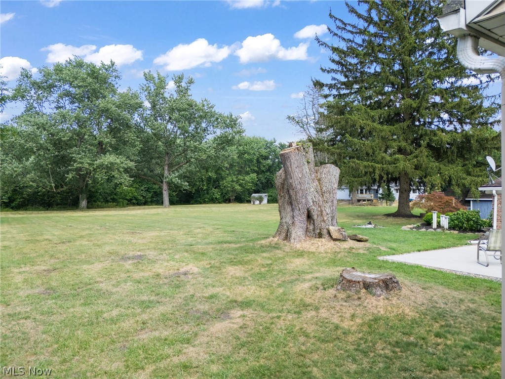 2941 Copley Road Akron, OH 44321 - Photo 31 of 44 View of grassy yard