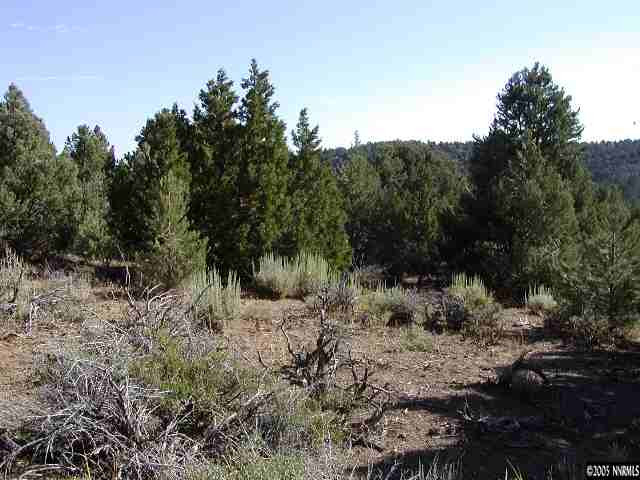 1820 Empire Road Reno, NV 89521 - Photo 3 of 5 a view of a forest with trees in the background