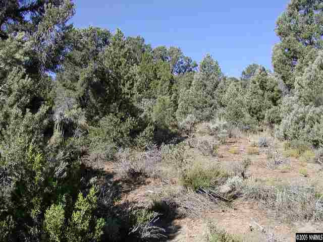 1820 Empire Road Reno, NV 89521 - Photo 4 of 5 a view of a field with plants and trees