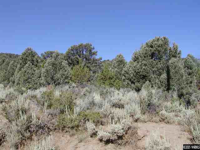 1820 Empire Road Reno, NV 89521 - Photo 5 of 5