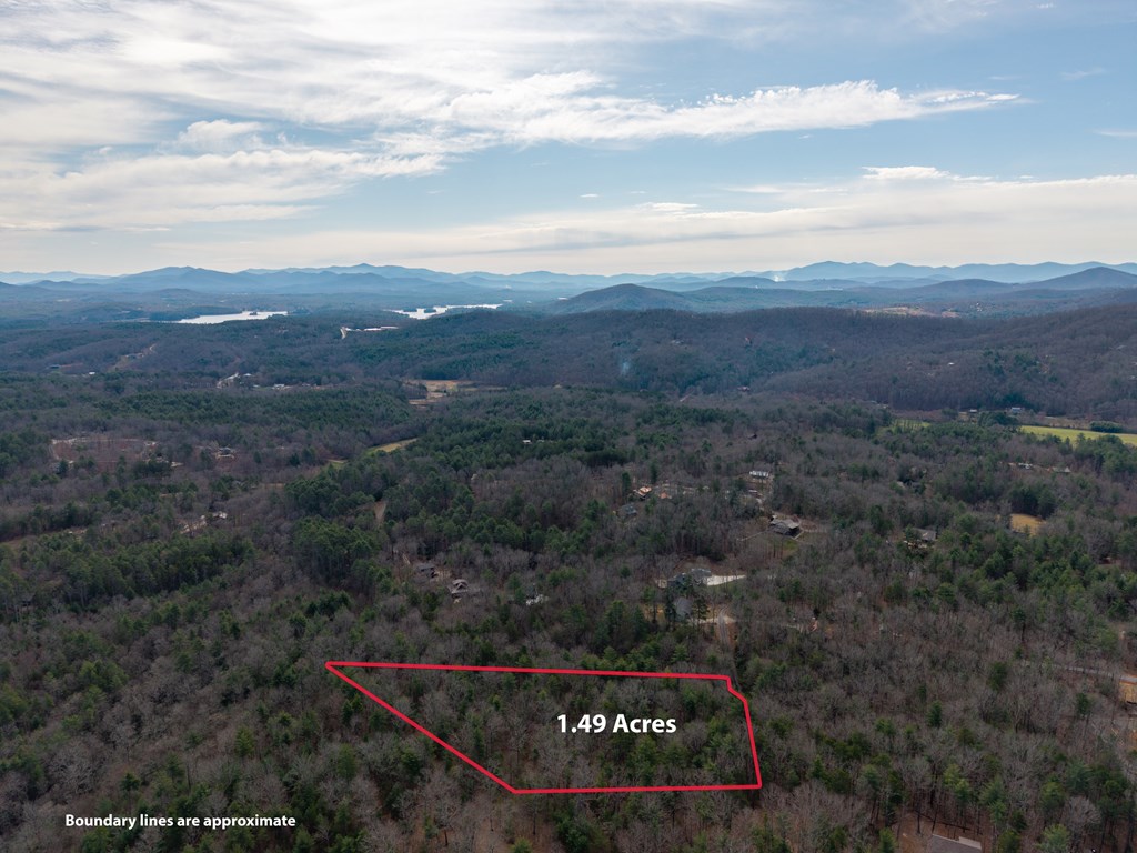 Lot 6 Hampton Road Morganton, GA 30560 - Photo 7 of 16 Gallery Image 7