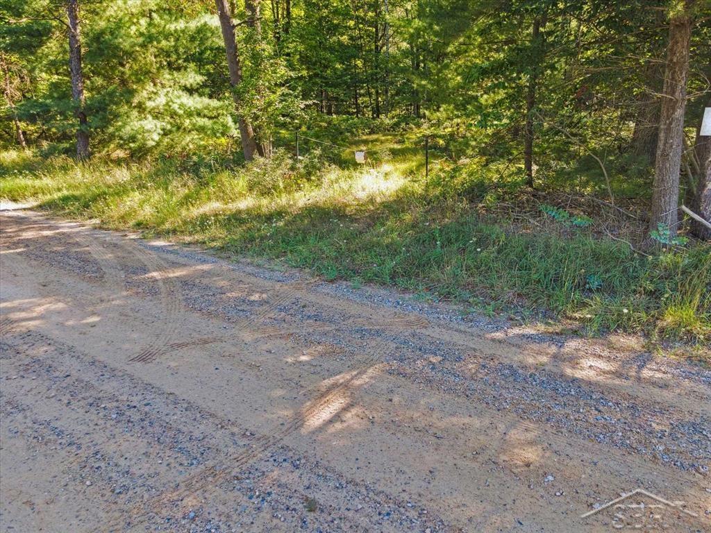 Vl Fireline Trail Alger, MI 48610 - Photo 15 of 15