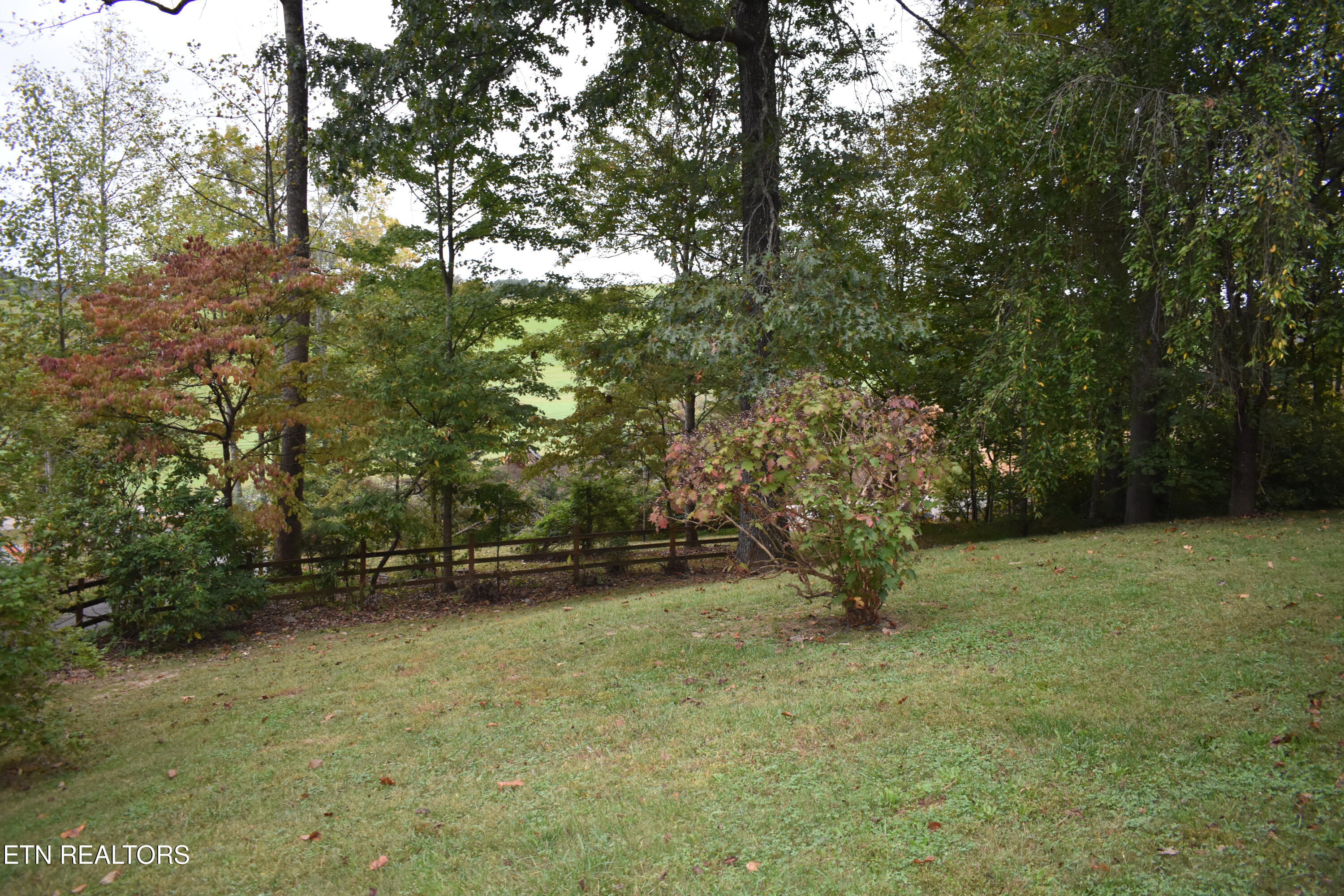 306 Mountain Road New Tazewell, TN 37825 - Photo 18 of 21 DSC_6776