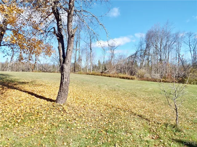 $225,000 | 10035 Swamp Road, Remsen, NY 13438