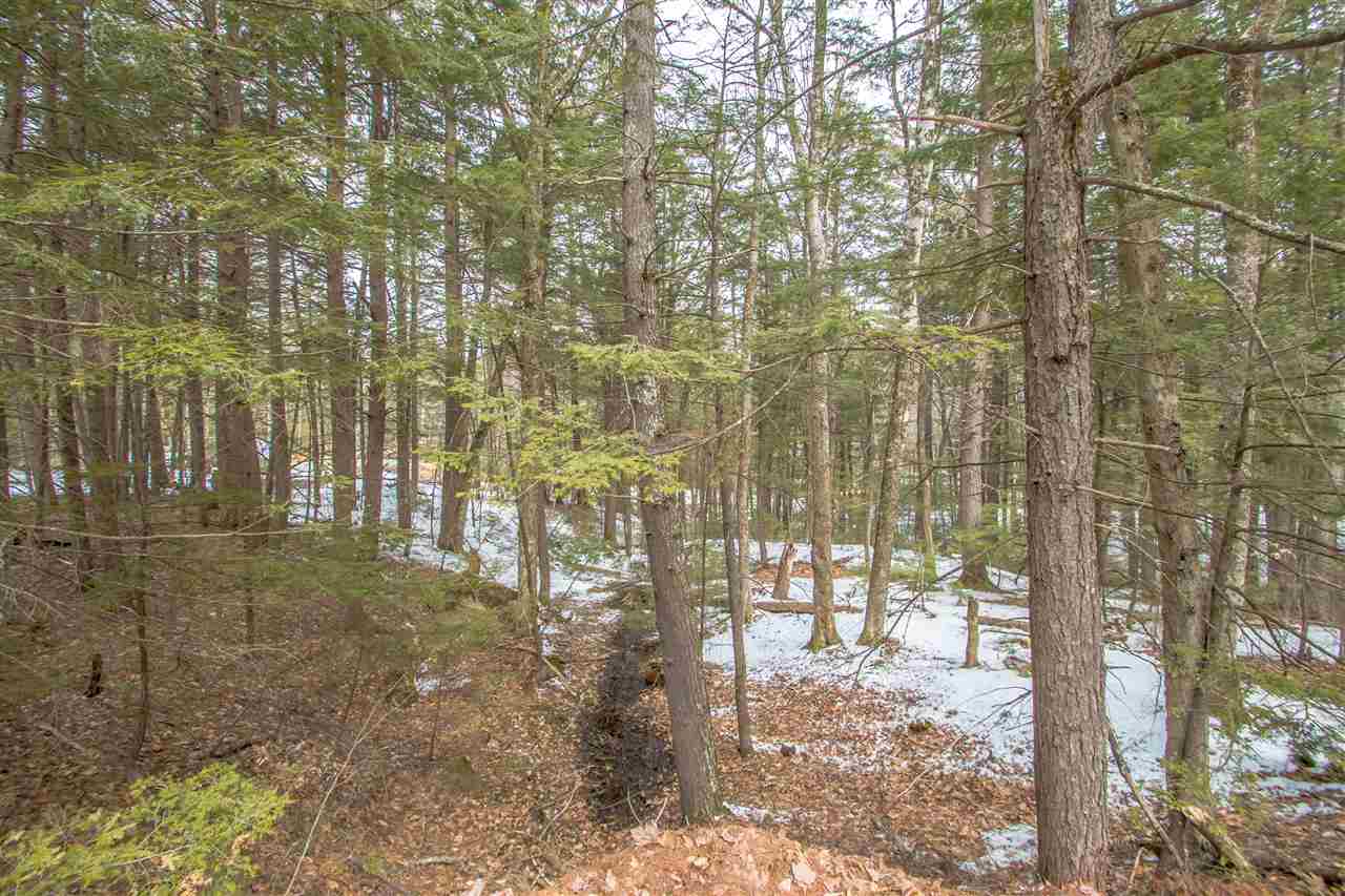28 Grison Road Madison, NH 03849 - Photo 23 of 24
