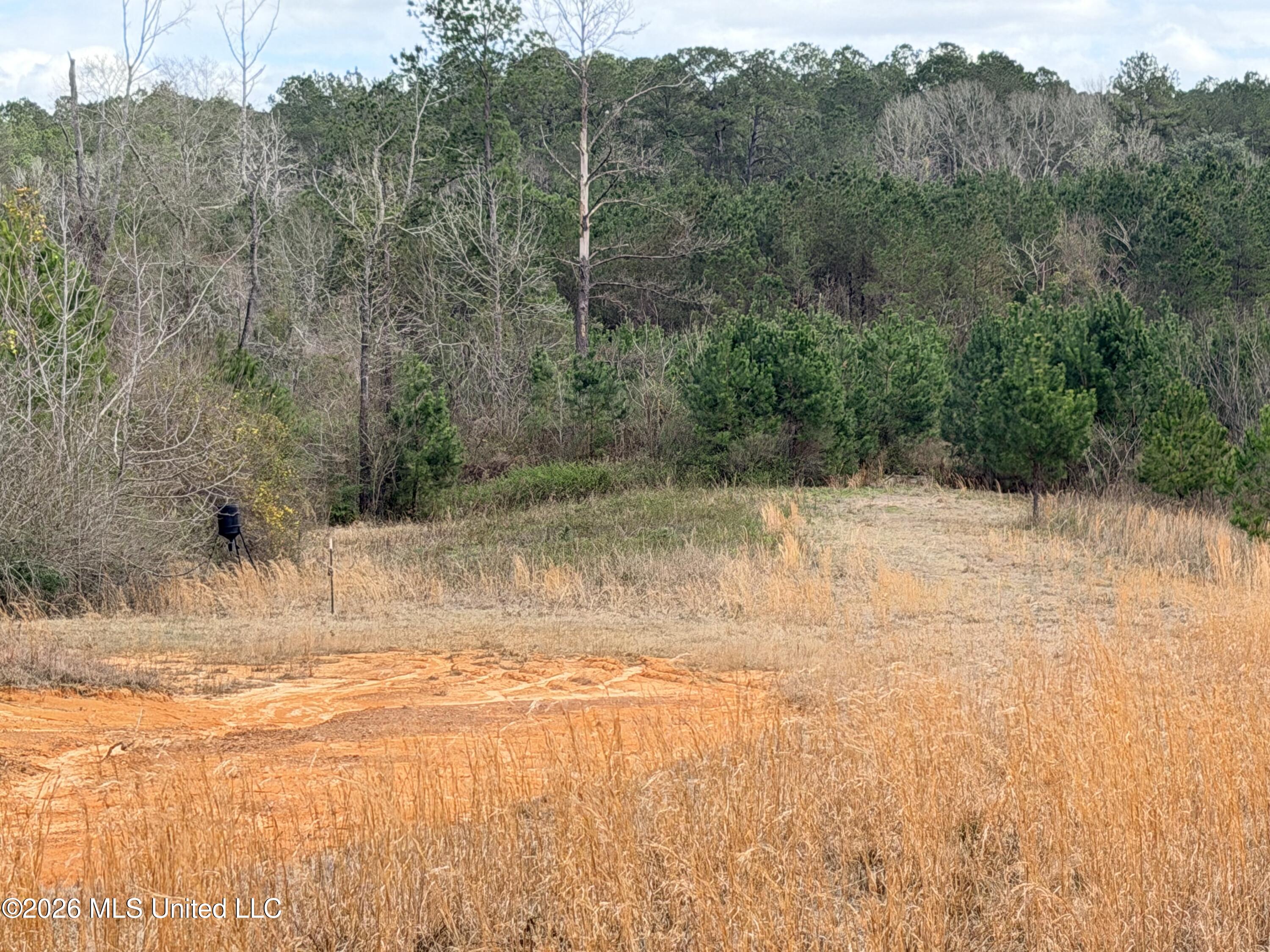 4056 Gibson Road McComb, MS 39648 - Photo 8 of 21 IMG_4565