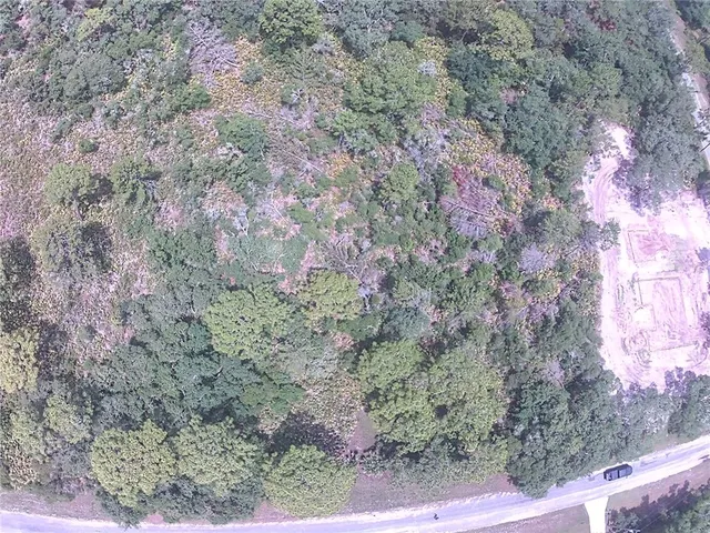 a view of a forest with large trees