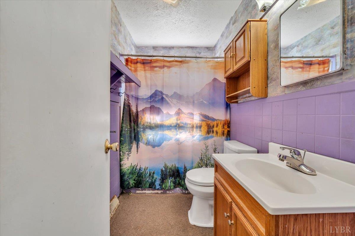 4152 Blue Ridge Drive Gretna, VA 24557 - Photo 22 of 74 a bathroom with a sink and a toilet