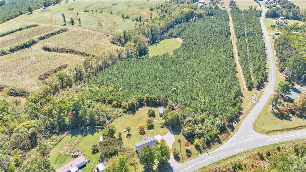 4152 Blue Ridge Drive Gretna, VA 24557 - Photo 70 of 74 a view of a garden with a bench