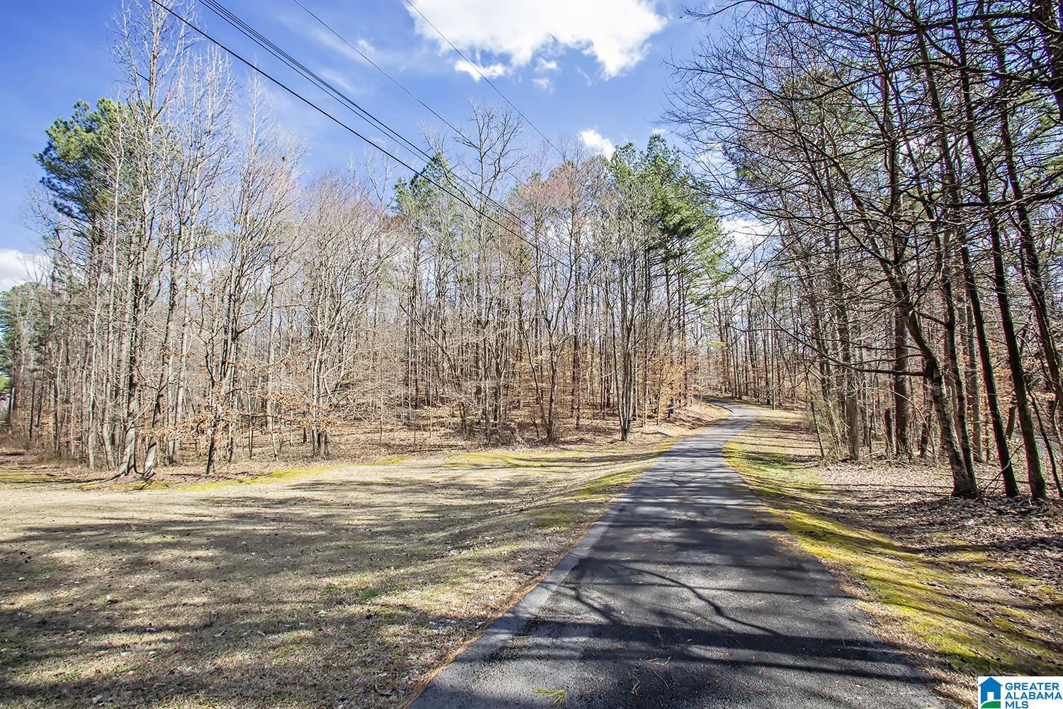 6911 Deer Haven Road Pinson, AL 35126 - Photo 51 of 52