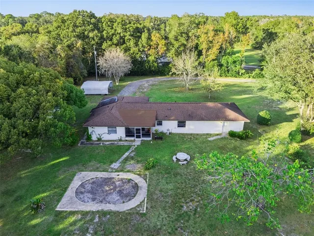 a view of a backyard with plants and a garden