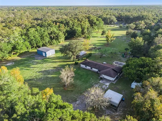 a view of a bunch of trees and flowers