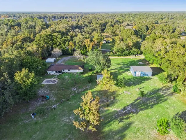 a view of a lush green forest with trees and some houses