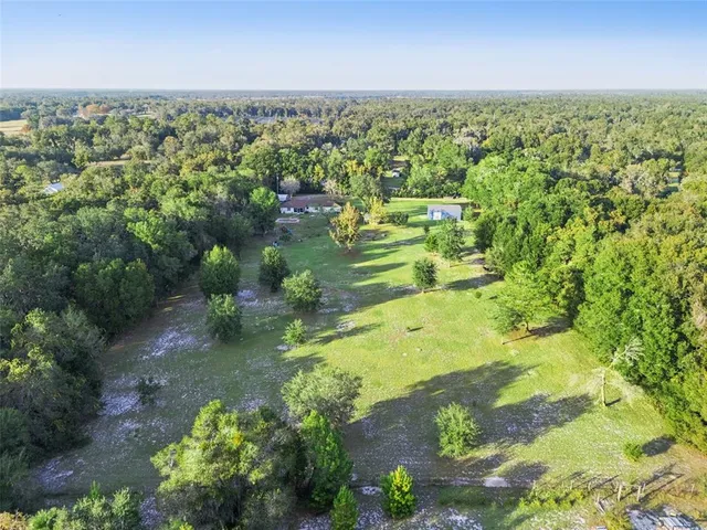 a view of a lush green forest with trees and some houses