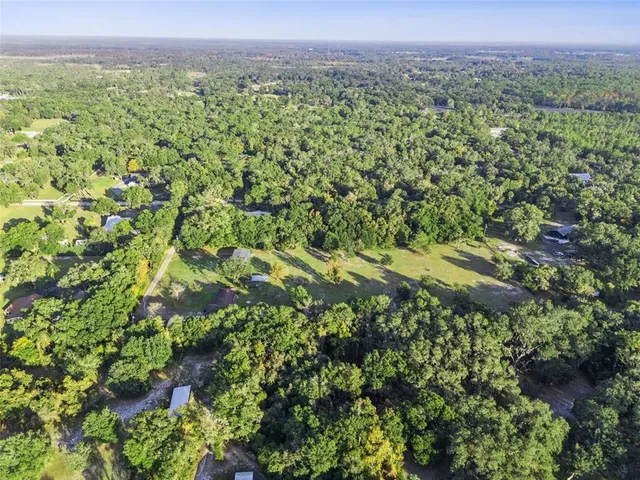 a view of a green field with lots of bushes