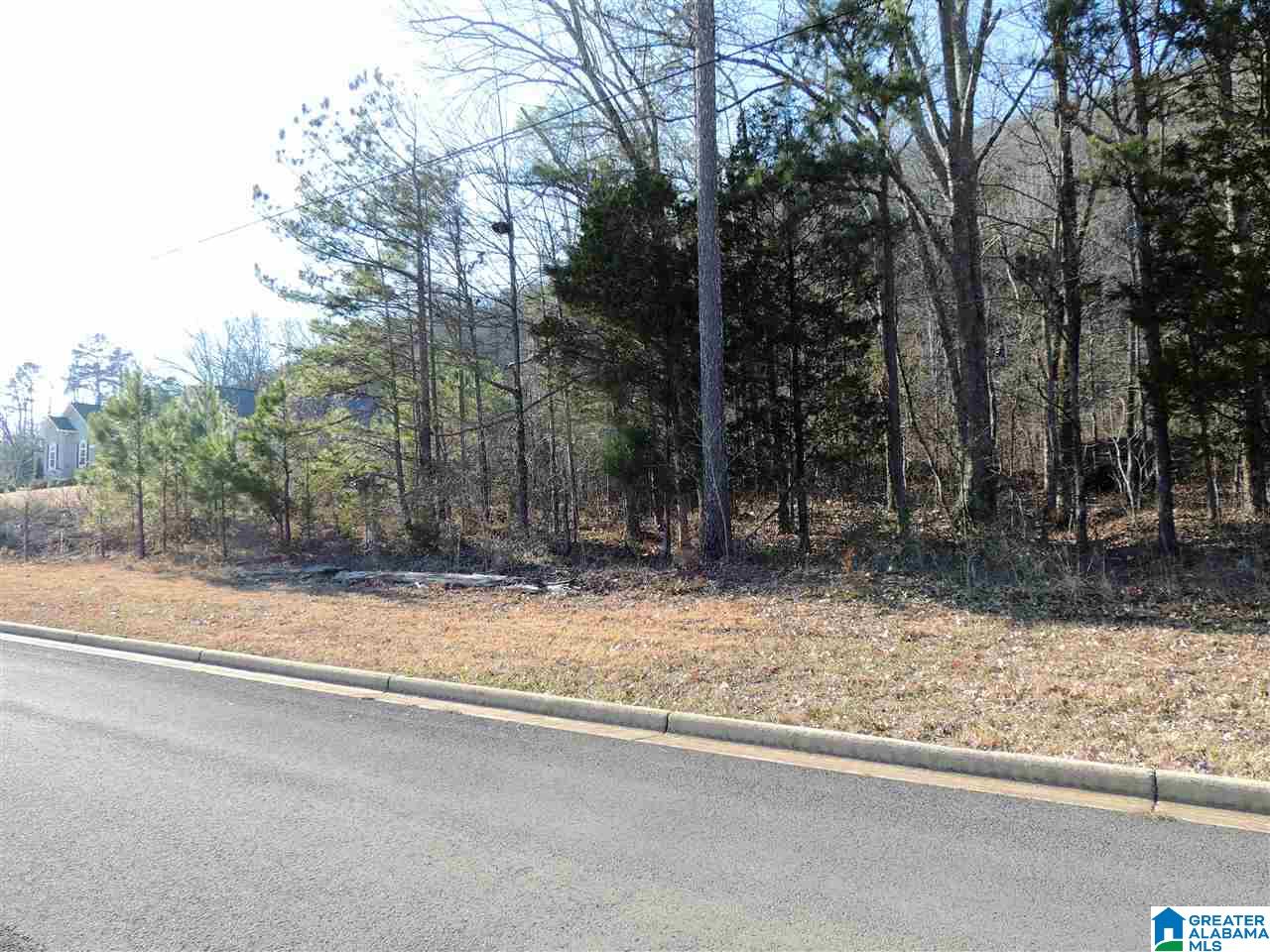 4 Mountain Lane, Unit LOT #4 Oneonta, AL 35121 - Photo 2 of 5