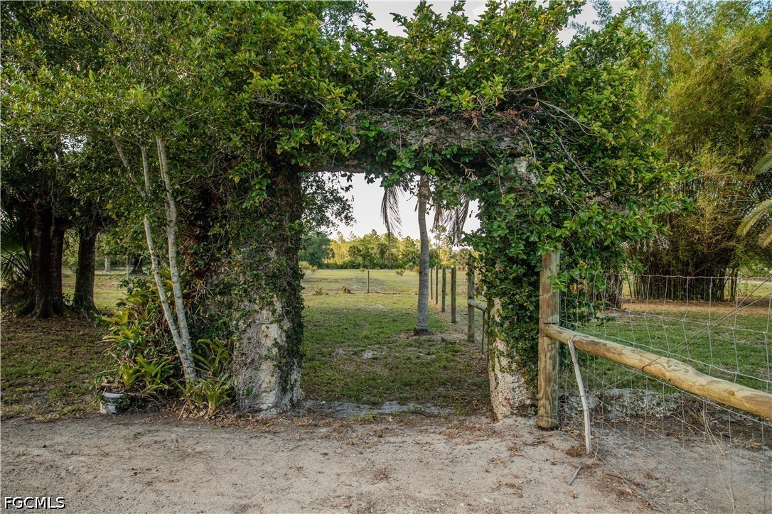 3880 Packinghouse Road Alva, FL 33920 - Photo 27 of 29 a view of a park