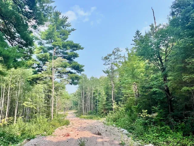 $72,000 | Parcel B Parcel B Vermilion Lake Road, Cook, MN 55723