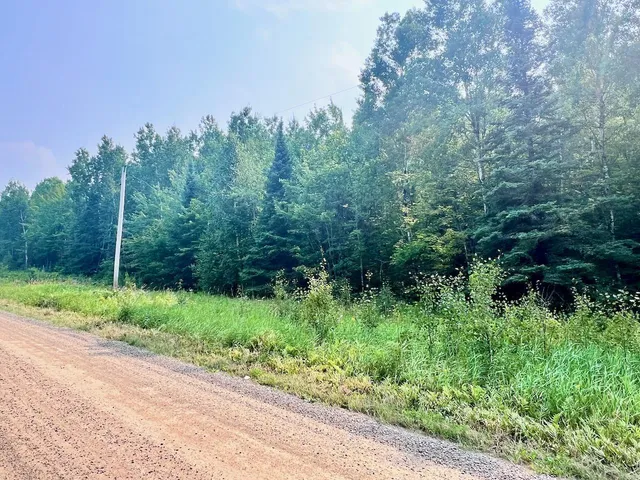 $72,000 | Parcel B Parcel B Vermilion Lake Road, Cook, MN 55723