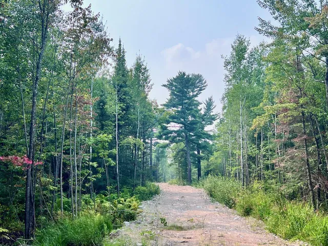 $72,000 | Parcel B Parcel B Vermilion Lake Road, Cook, MN 55723