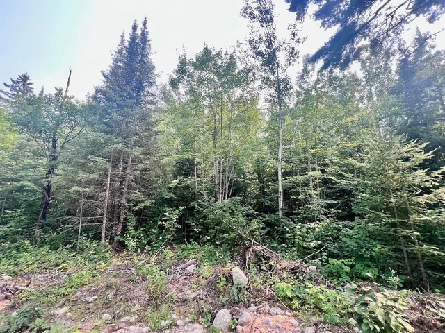 $72,000 | Parcel B Parcel B Vermilion Lake Road, Cook, MN 55723