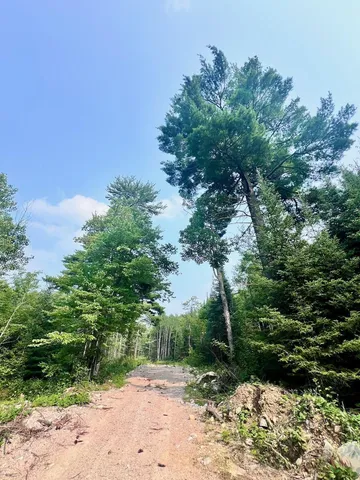 $72,000 | Parcel B Parcel B Vermilion Lake Road, Cook, MN 55723