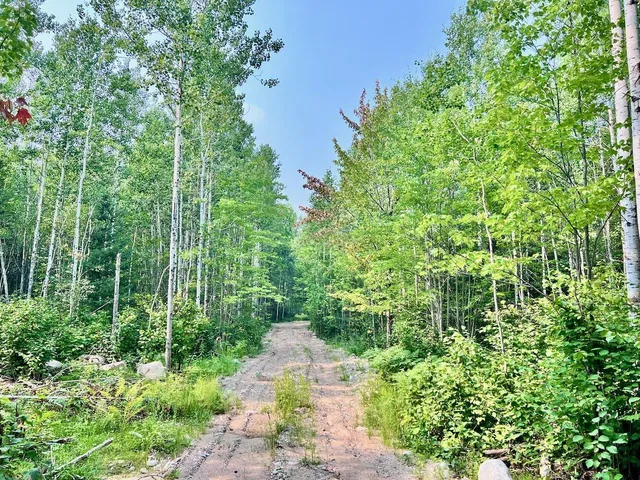 $72,000 | Parcel B Parcel B Vermilion Lake Road, Cook, MN 55723