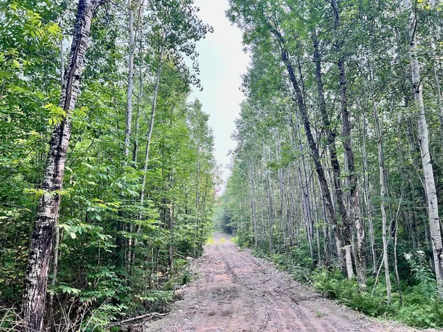 $72,000 | Parcel B Parcel B Vermilion Lake Road, Cook, MN 55723